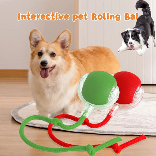 2025 Hot Electric Dog Ball Toys