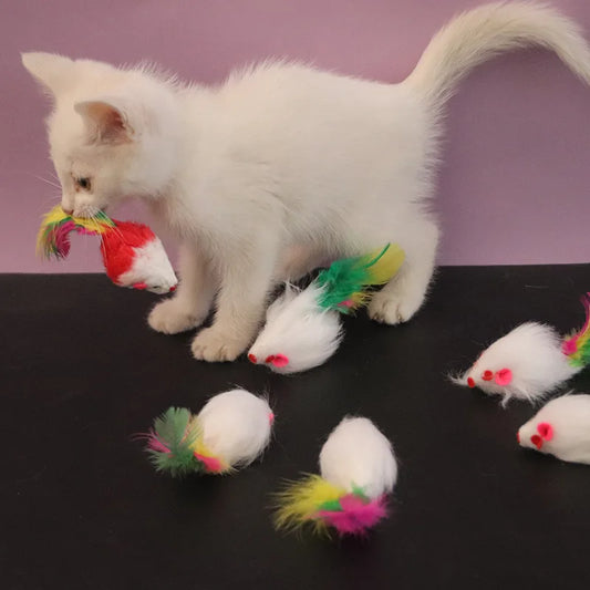 Cat Toys Interactive Cute Soft Fleece False Mouse