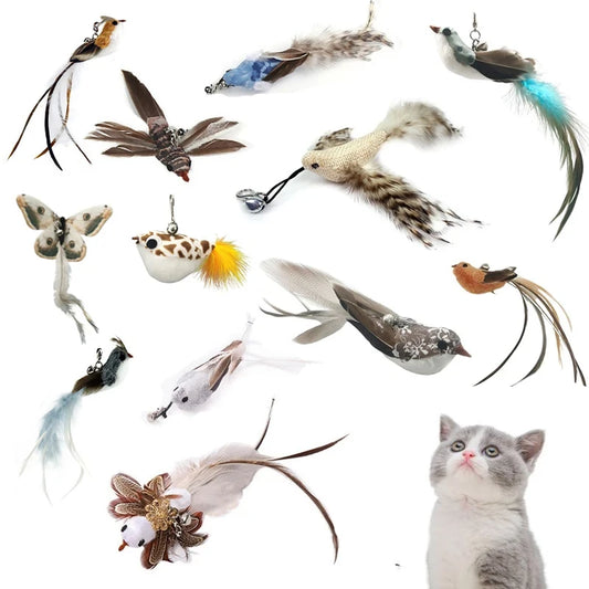 Funny Bird Feather Cat Wand With Bell Accessories Interactive Toys