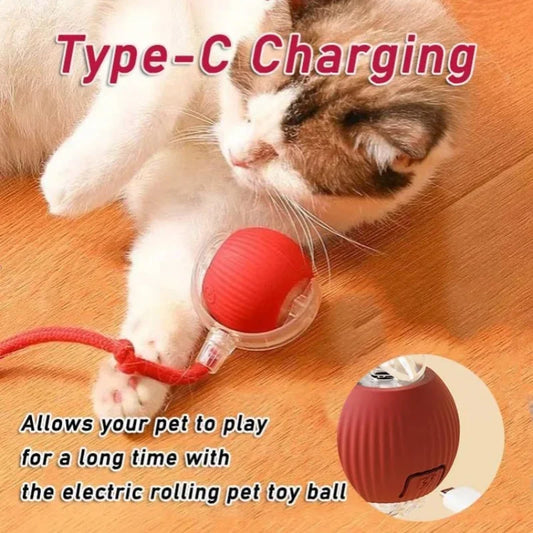 2025 Hot Electric Dog Ball Toys