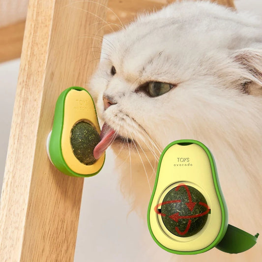 Cats Teeth Cleaning Catnip Ball Toys
