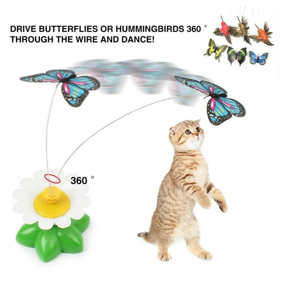 Electric Butterfly Cat Toy