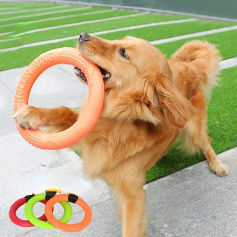Orange Dog Toys Pet Flying Disk Training Ring